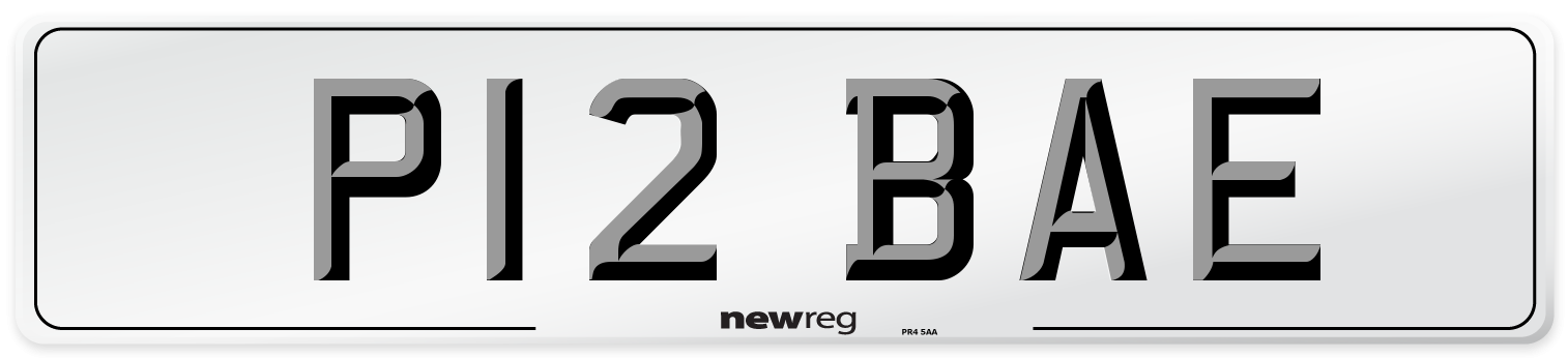 P12 BAE Front Number Plate