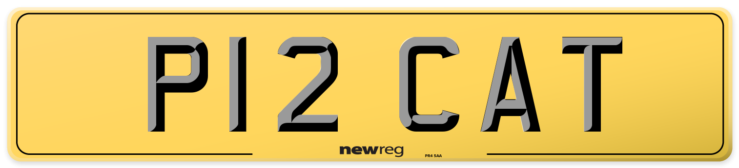 P12 CAT Rear Number Plate