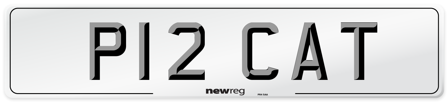 P12 CAT Front Number Plate
