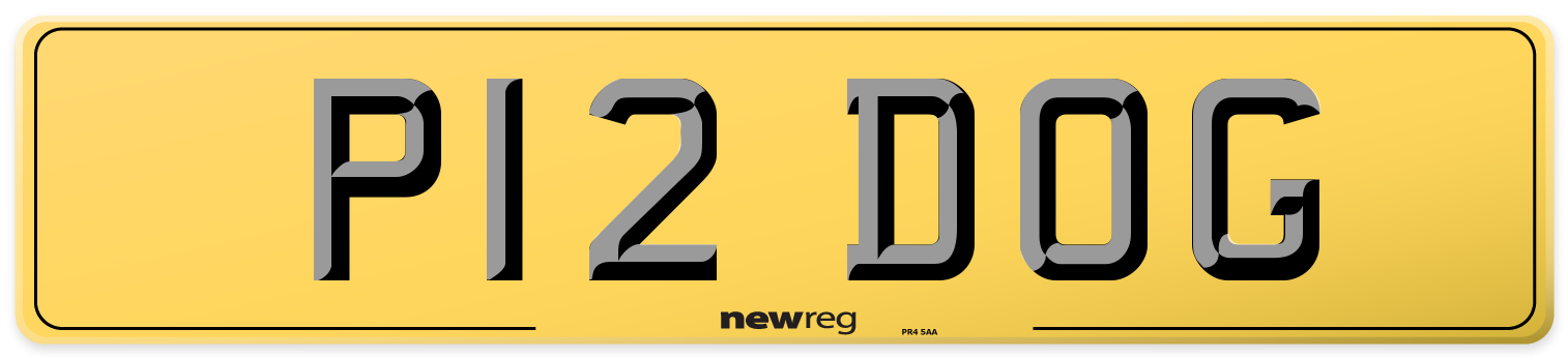 P12 DOG Rear Number Plate
