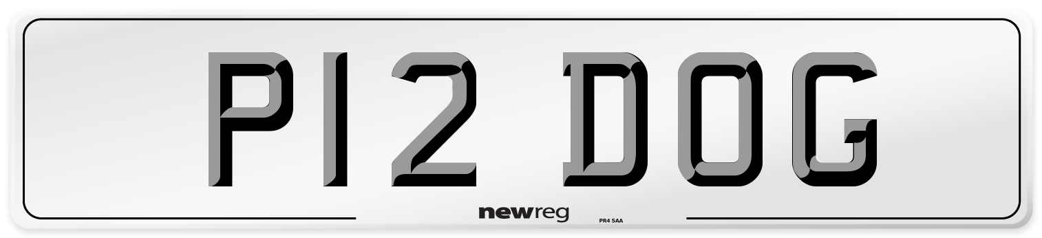 P12 DOG Front Number Plate