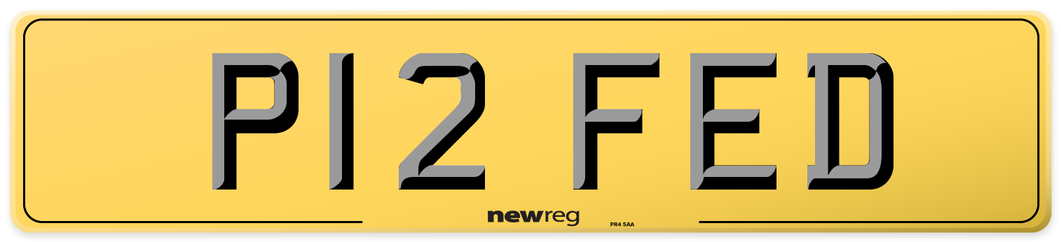 P12 FED Rear Number Plate