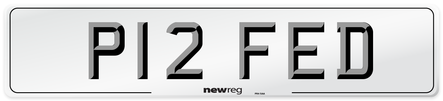 P12 FED Front Number Plate