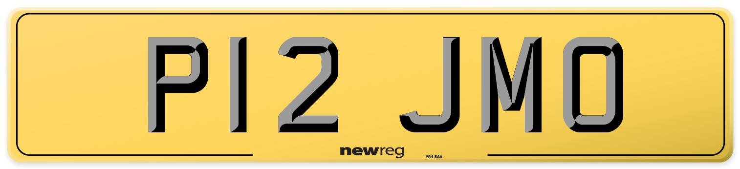 P12 JMO Rear Number Plate