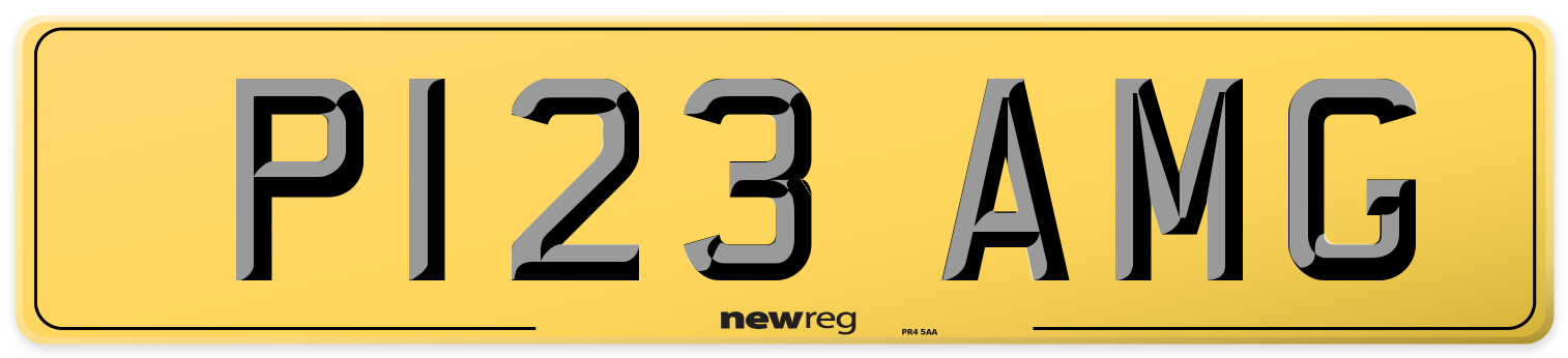 P123 AMG Rear Number Plate
