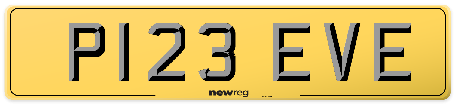 P123 EVE Rear Number Plate