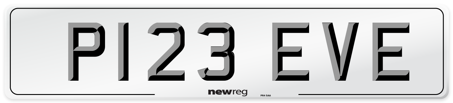 P123 EVE Front Number Plate