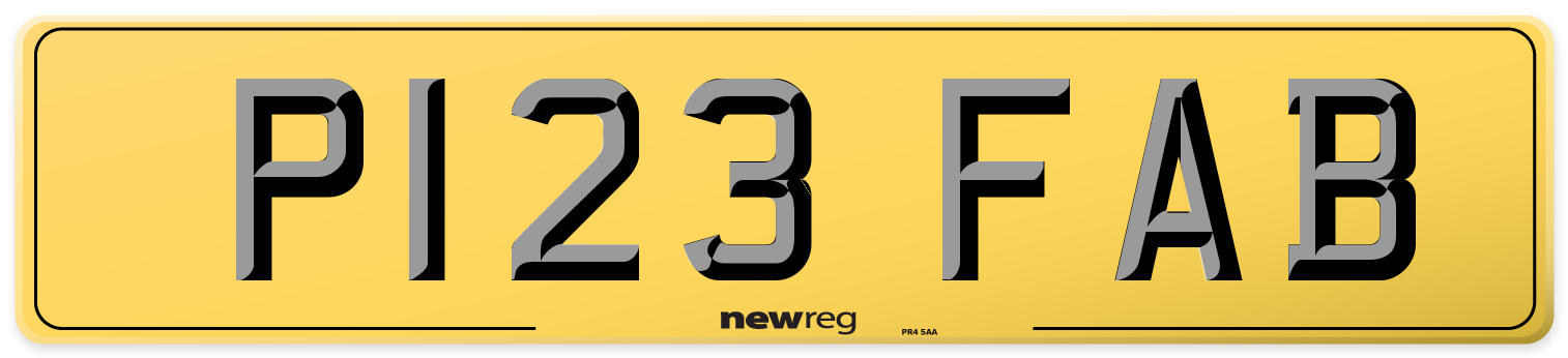P123 FAB Rear Number Plate