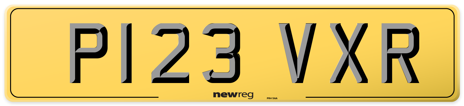 P123 VXR Rear Number Plate