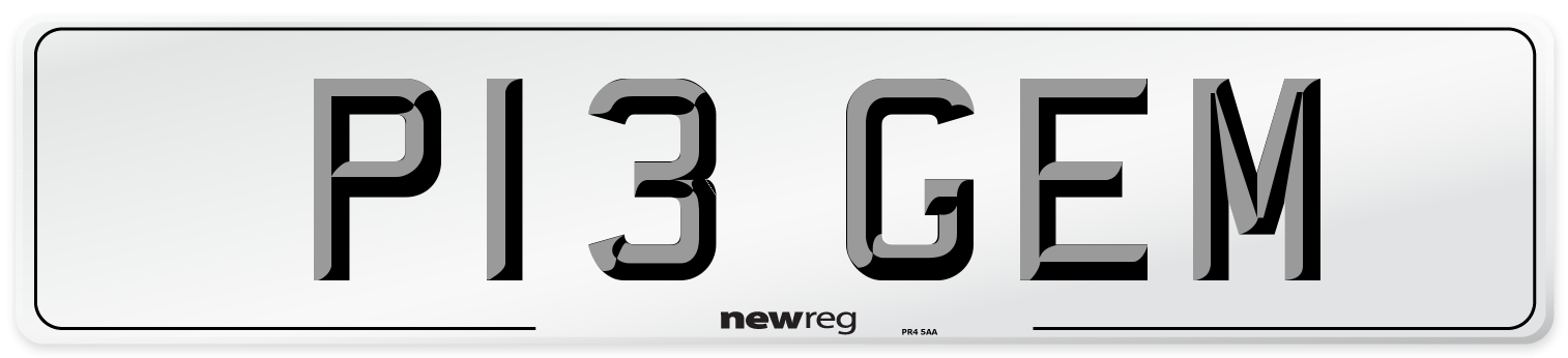 P13 GEM Front Number Plate