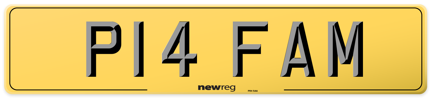 P14 FAM Rear Number Plate