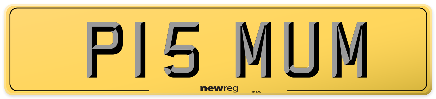 P15 MUM Rear Number Plate