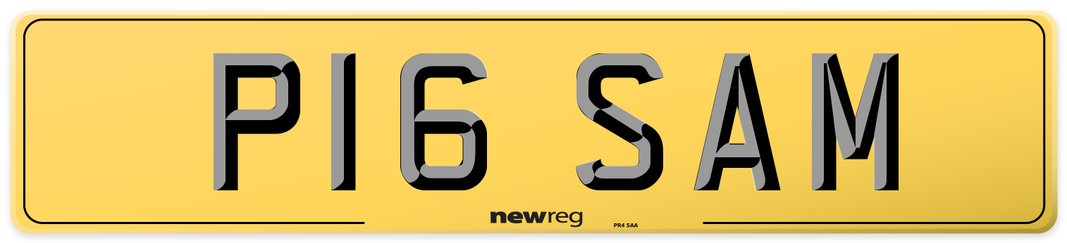 P16 SAM Rear Number Plate