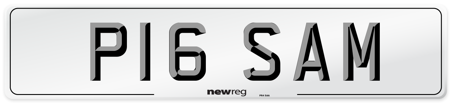 P16 SAM Front Number Plate
