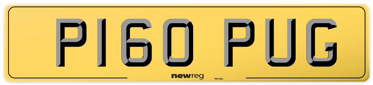 P160 PUG Rear Number Plate