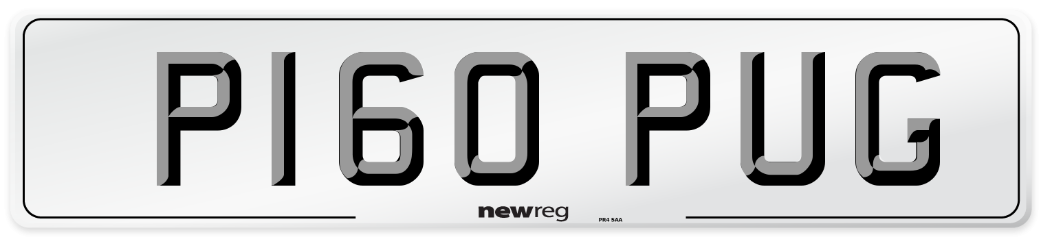 P160 PUG Front Number Plate