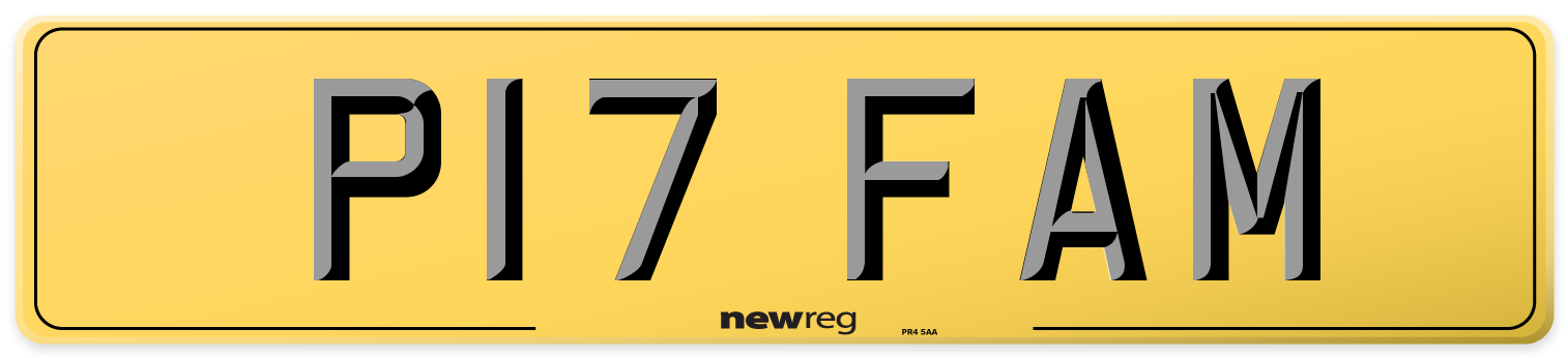 P17 FAM Rear Number Plate