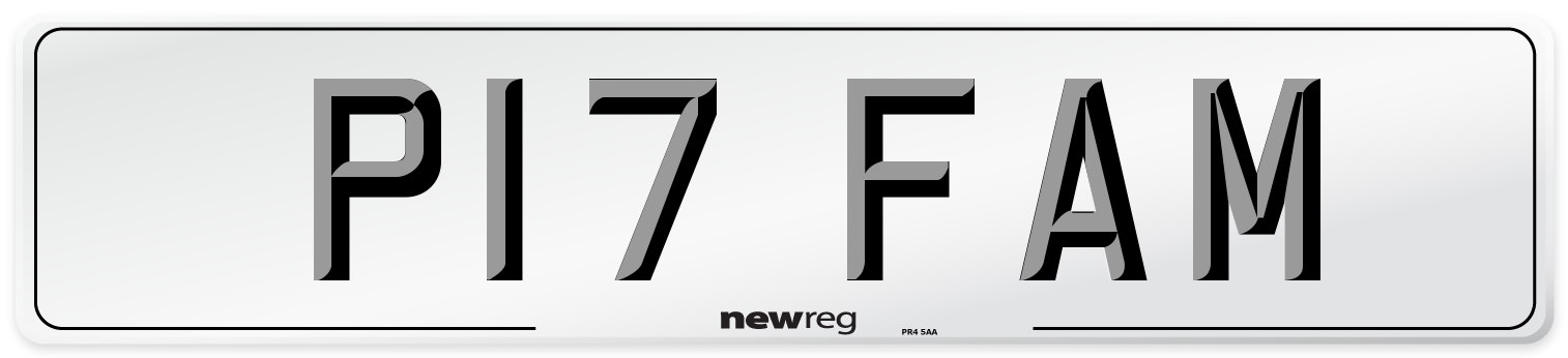 P17 FAM Front Number Plate