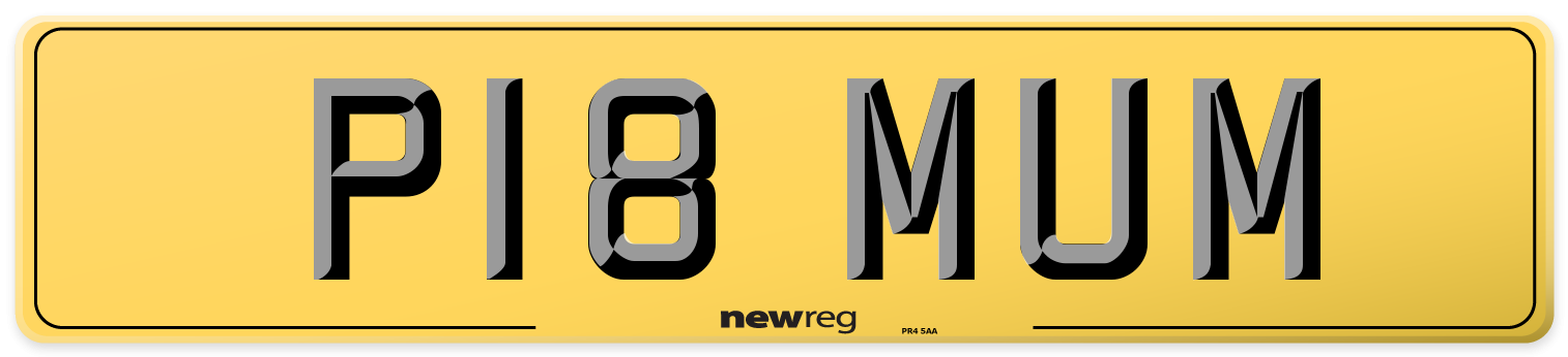 P18 MUM Rear Number Plate