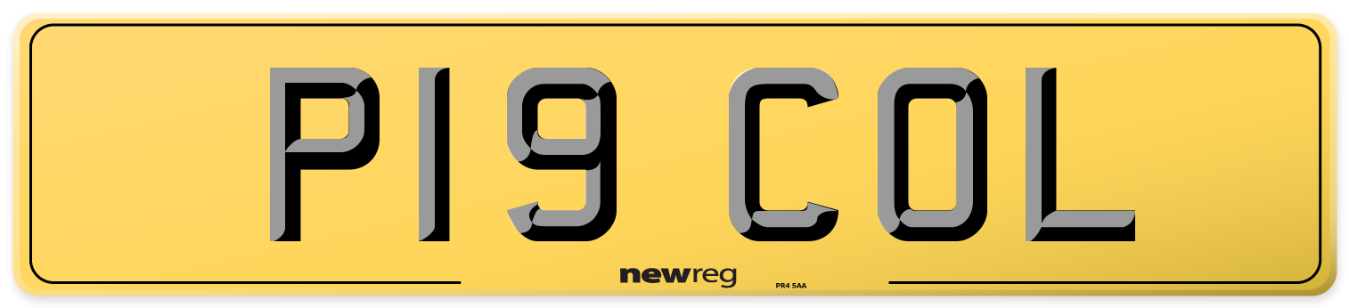 P19 COL Rear Number Plate