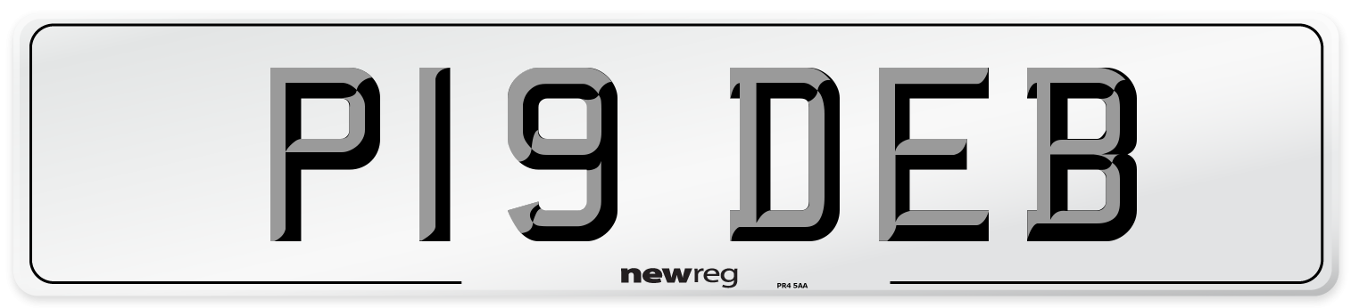 P19 DEB Front Number Plate