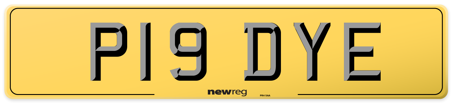 P19 DYE Rear Number Plate