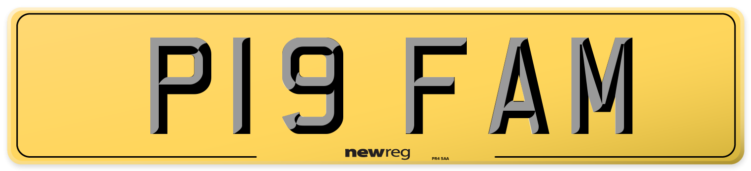 P19 FAM Rear Number Plate