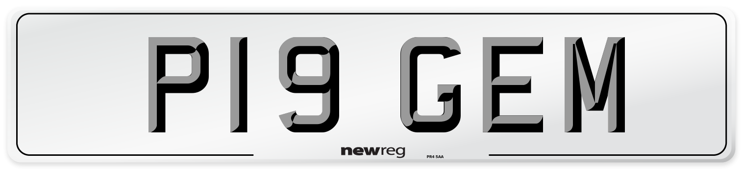 P19 GEM Front Number Plate