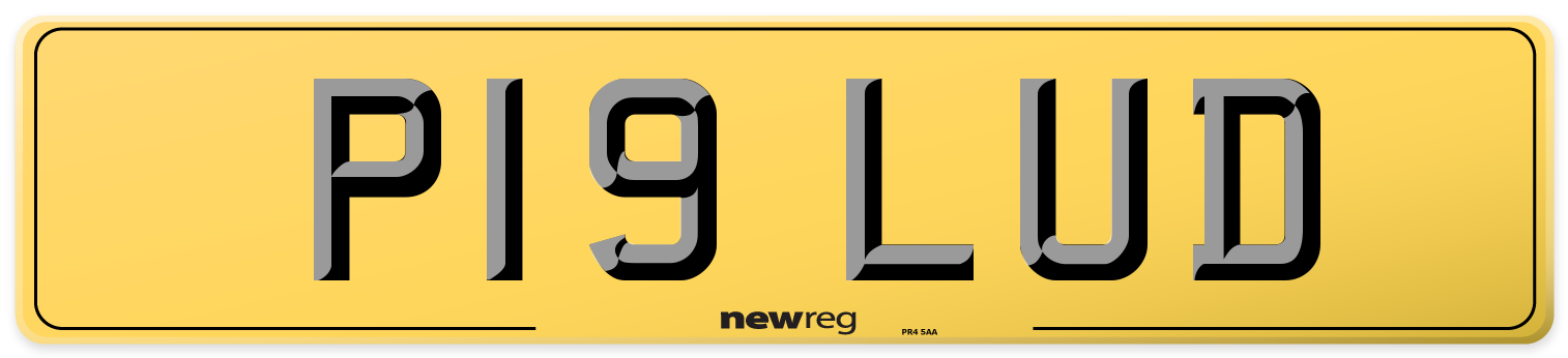 P19 LUD Rear Number Plate