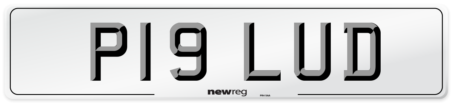 P19 LUD Front Number Plate