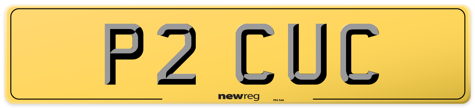 P2 CUC Rear Number Plate