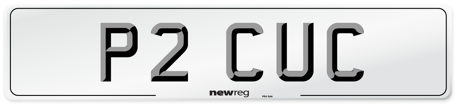 P2 CUC Front Number Plate