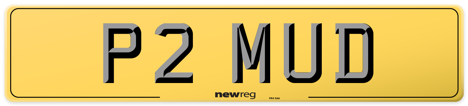 P2 MUD Rear Number Plate