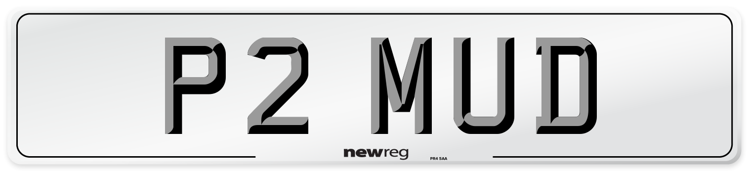 P2 MUD Front Number Plate