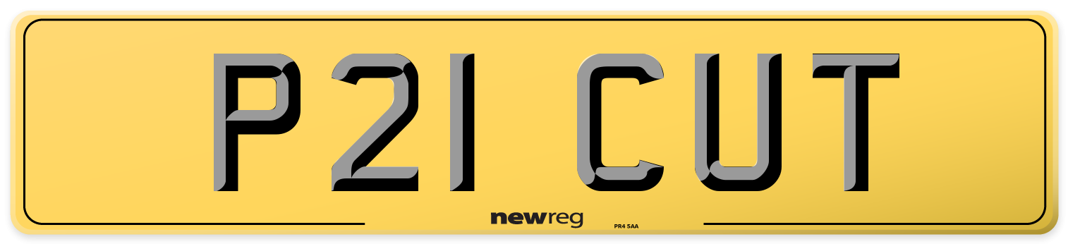 P21 CUT Rear Number Plate