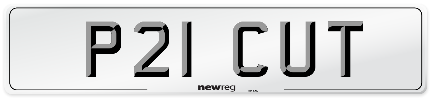 P21 CUT Front Number Plate
