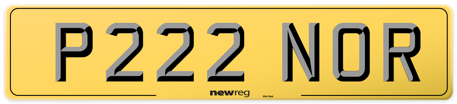 P222 NOR Rear Number Plate