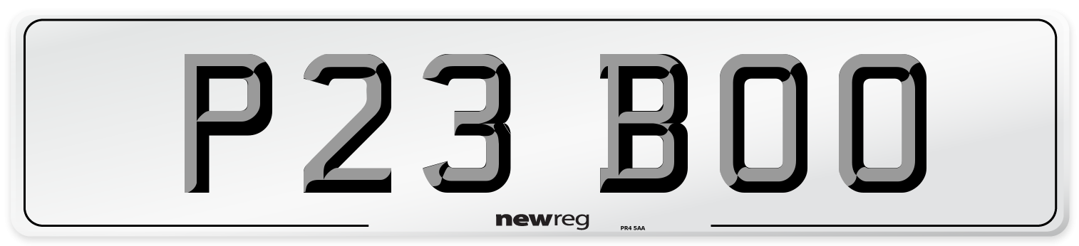 P23 BOO Front Number Plate