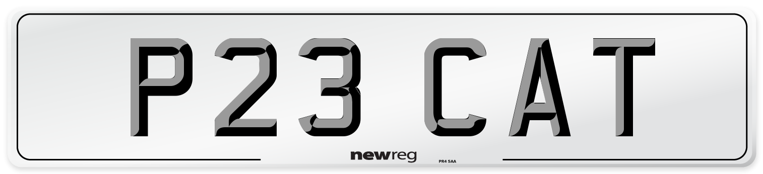 P23 CAT Front Number Plate