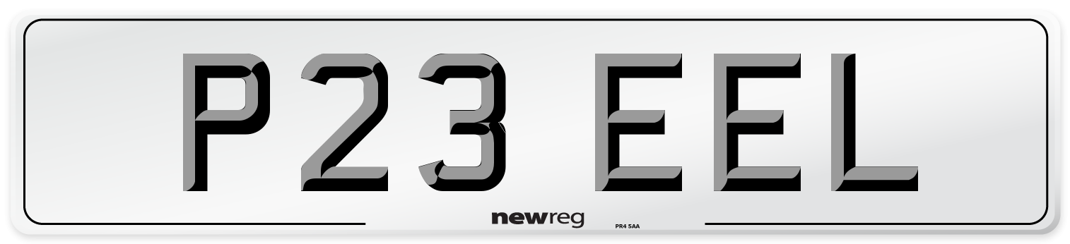 P23 EEL Front Number Plate