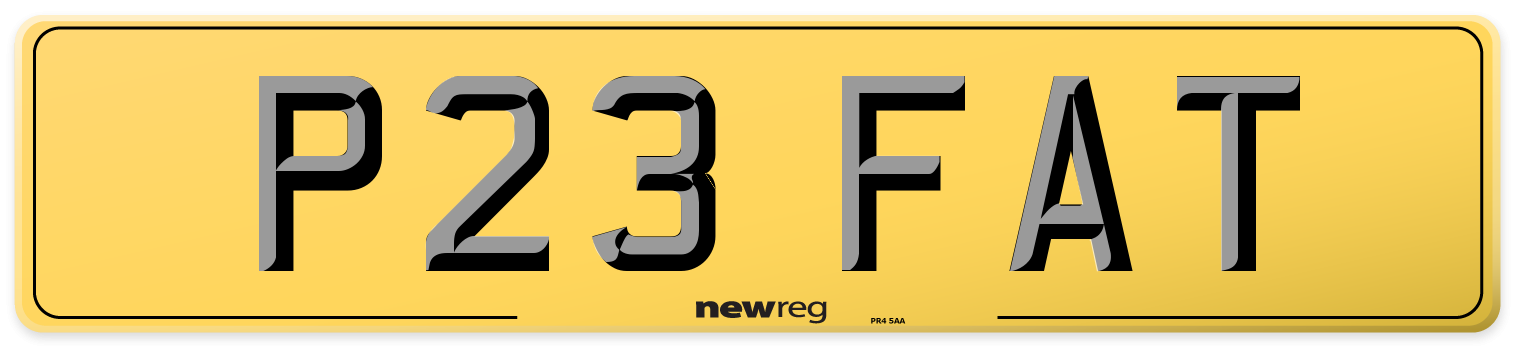 P23 FAT Rear Number Plate