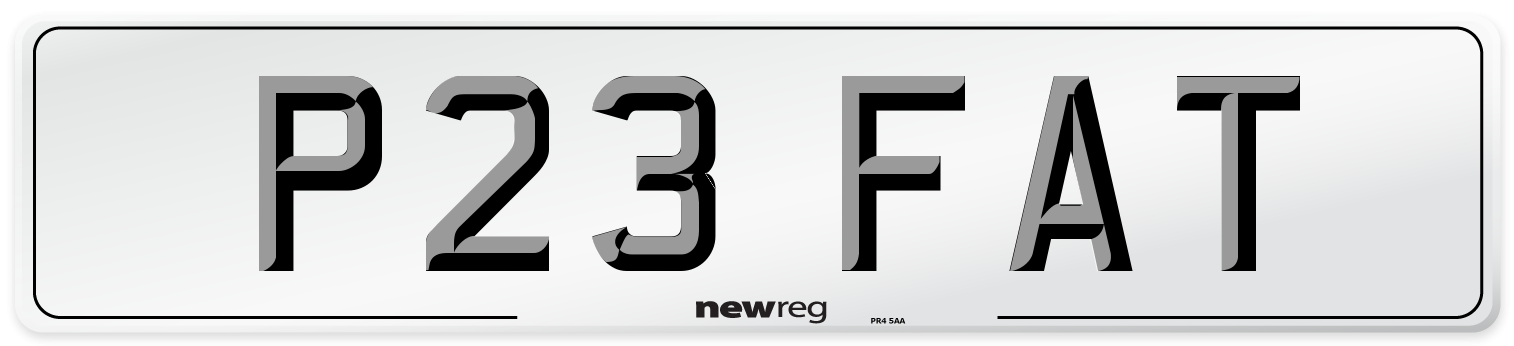 P23 FAT Front Number Plate