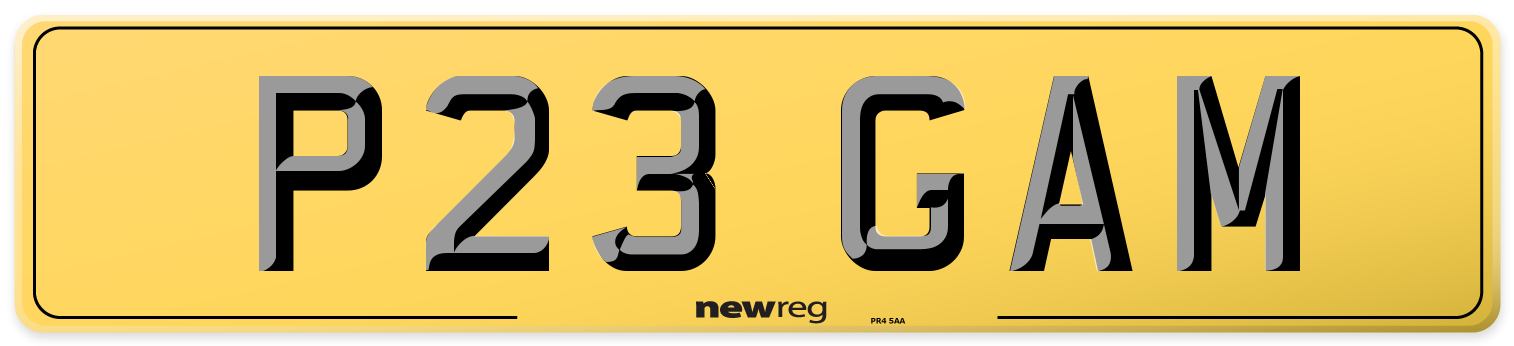 P23 GAM Rear Number Plate