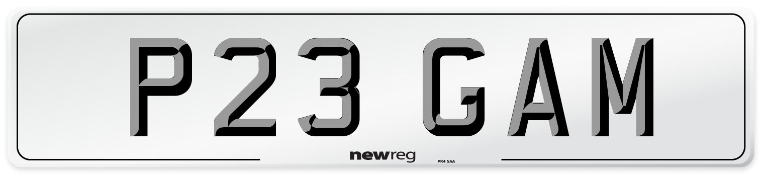 P23 GAM Front Number Plate