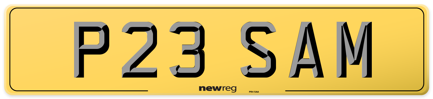 P23 SAM Rear Number Plate