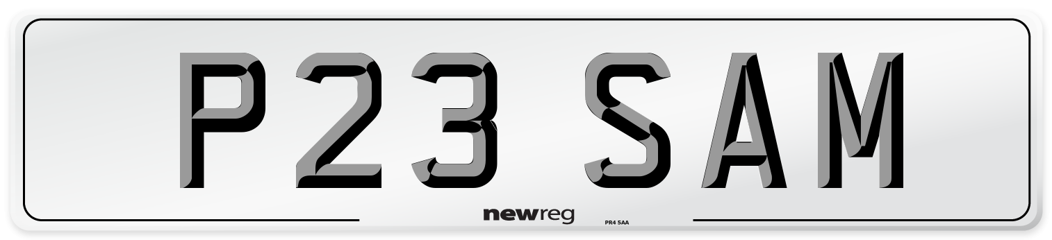 P23 SAM Front Number Plate