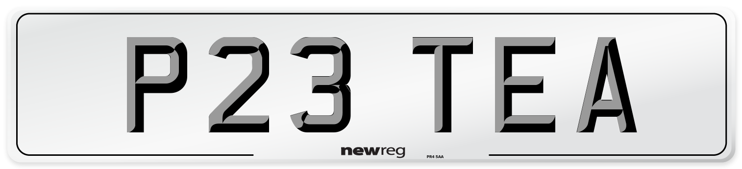 P23 TEA Front Number Plate