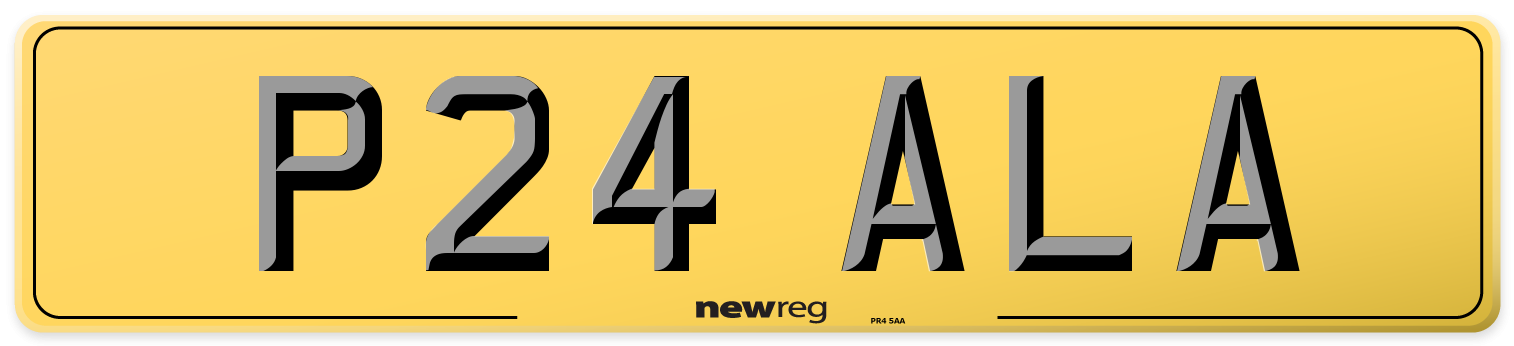P24 ALA Rear Number Plate