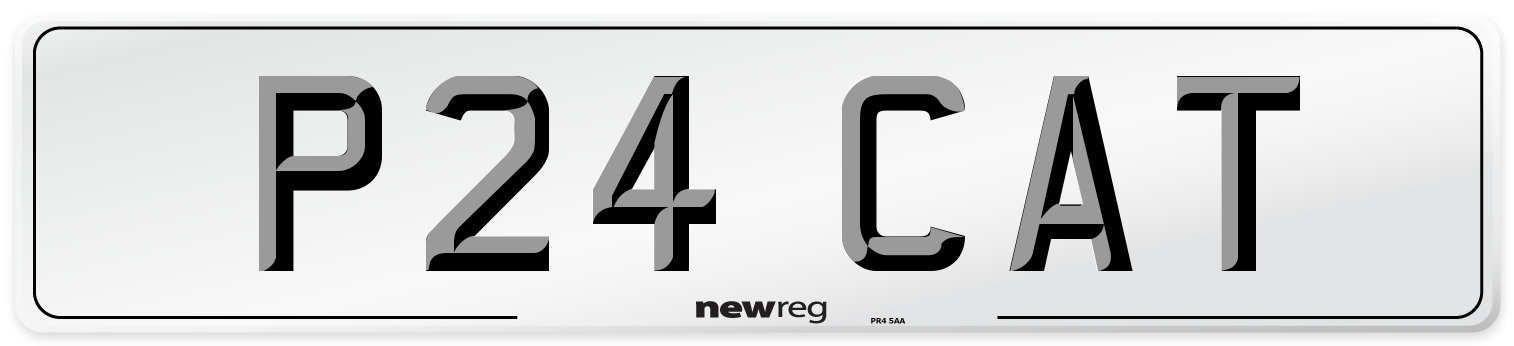 P24 CAT Front Number Plate