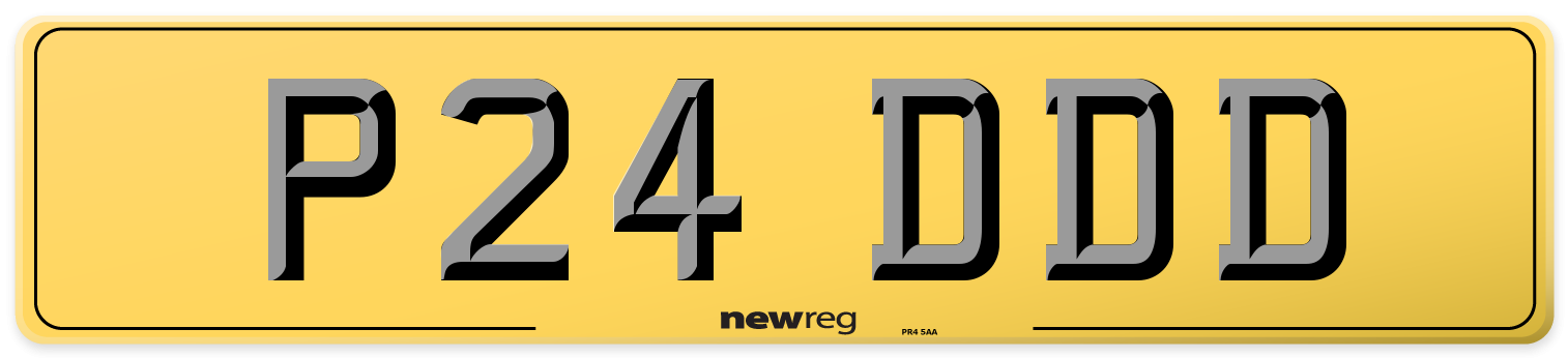 P24 DDD Rear Number Plate